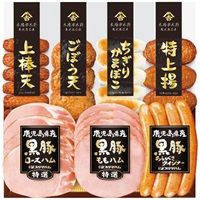 鹿児島県産黒豚ハムとさつま揚げセット KKS-300(N