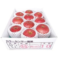 青森県産 糖度14度保証サンふじ約2.5kg