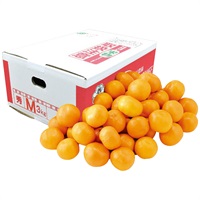 熊本県産 天水みかん約3kg