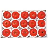 長野県産 信州サンふじ 約3.4kg