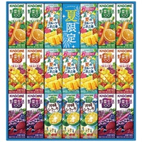 すこやかサマーバラエティギフト(紙容器) KYJ-30S
